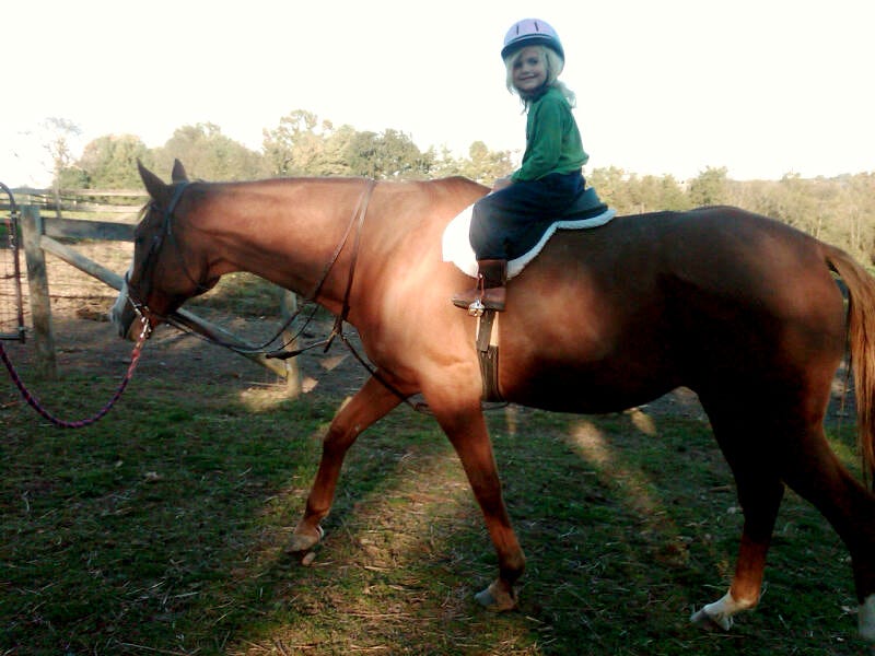 Fair Hill horse show stars retrained Thoroughbreds